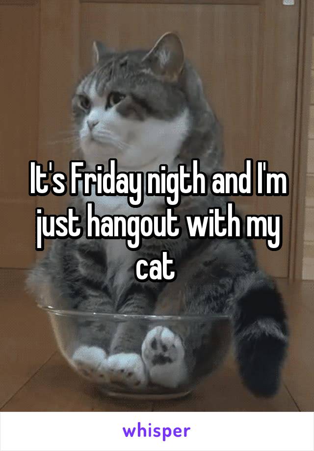 It's Friday nigth and I'm just hangout with my cat 