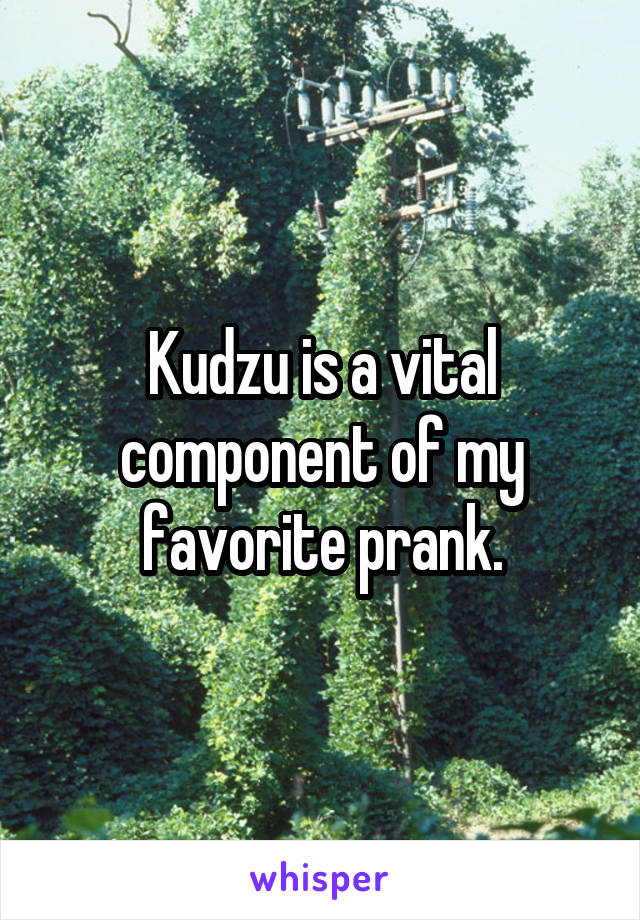 Kudzu is a vital component of my favorite prank.