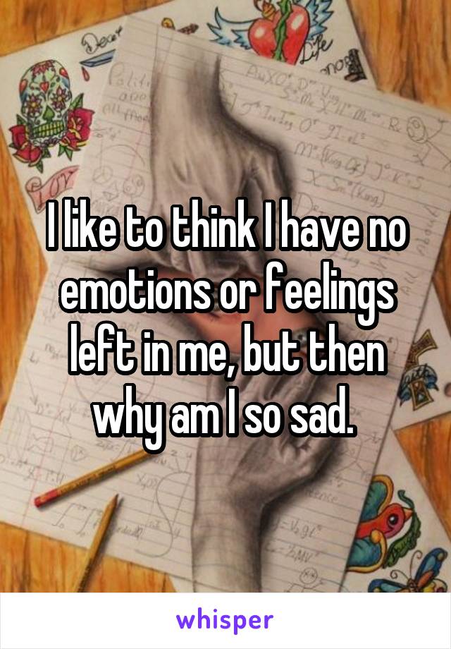 I like to think I have no emotions or feelings left in me, but then why am I so sad. 