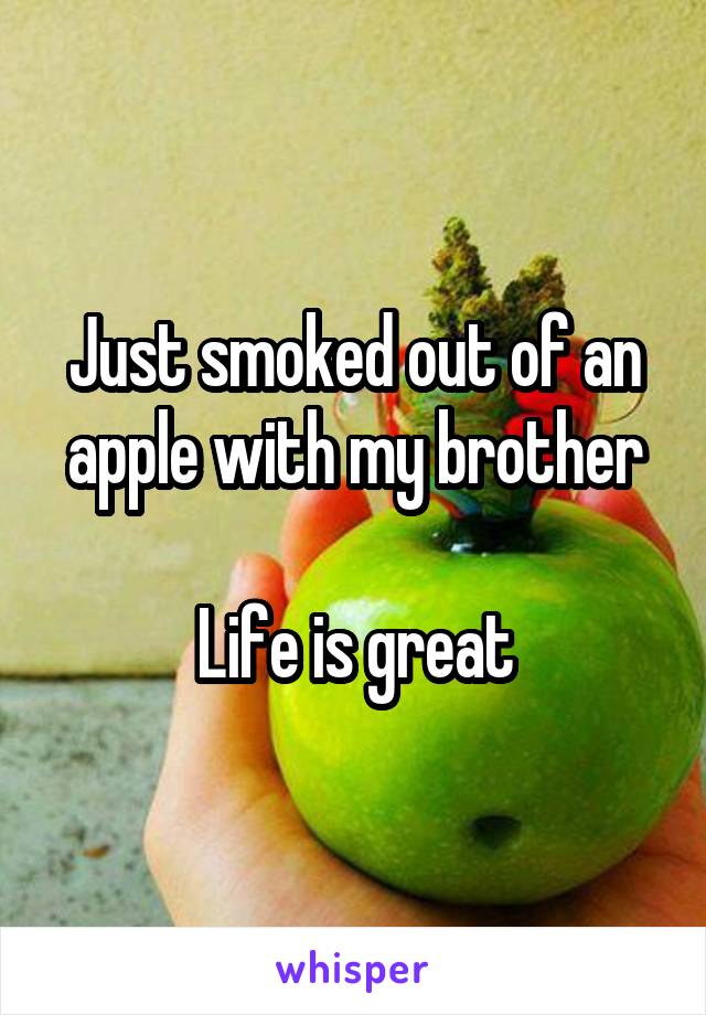 Just smoked out of an apple with my brother

Life is great