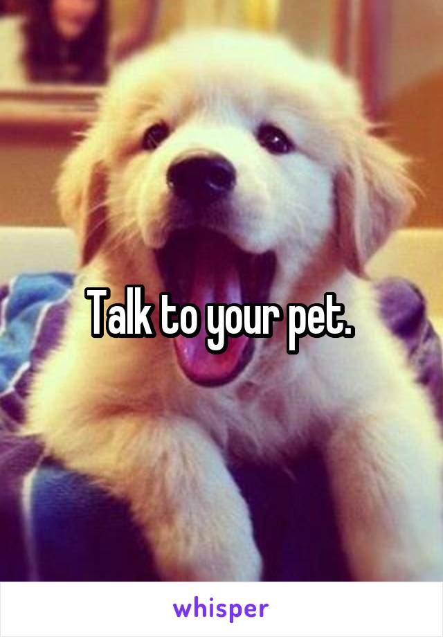 Talk to your pet. 