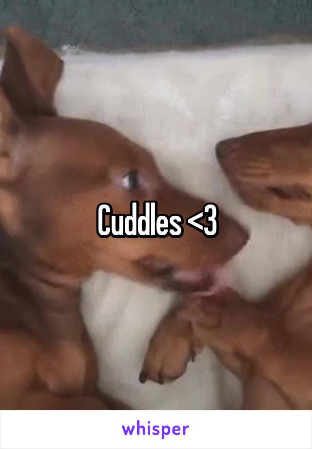 Cuddles <3