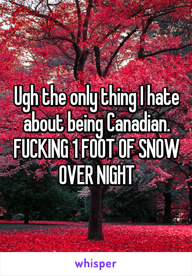 Ugh the only thing I hate about being Canadian. FUCKING 1 FOOT OF SNOW OVER NIGHT