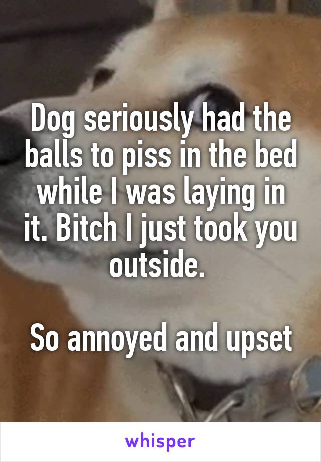 Dog seriously had the balls to piss in the bed while I was laying in it. Bitch I just took you outside. 

So annoyed and upset