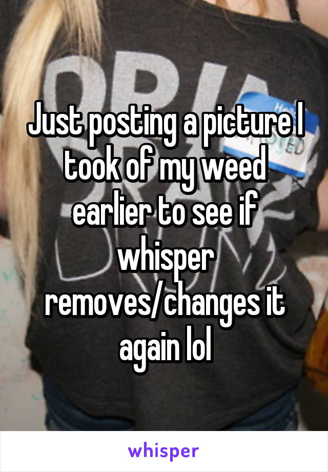 Just posting a picture I took of my weed earlier to see if whisper removes/changes it again lol