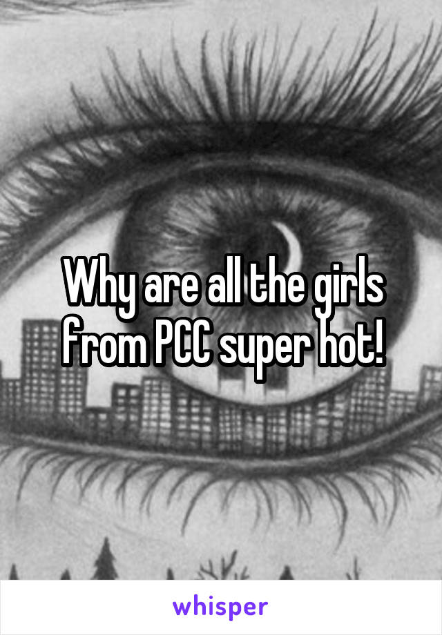 Why are all the girls from PCC super hot!