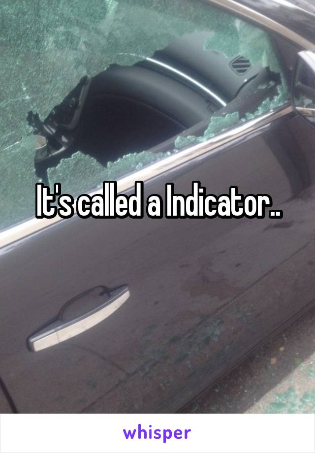 It's called a Indicator..
