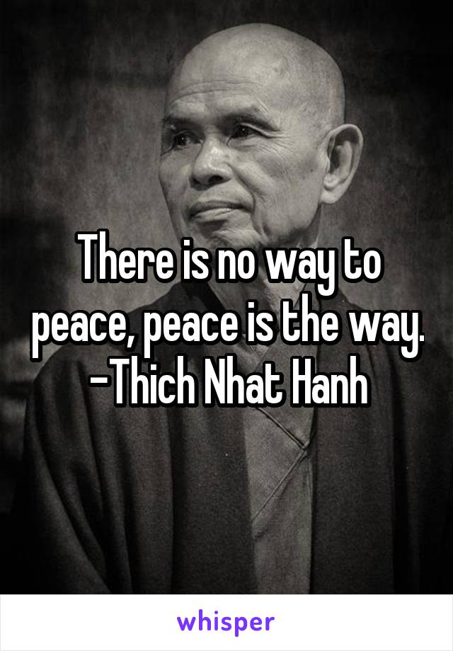 There is no way to peace, peace is the way. -Thich Nhat Hanh