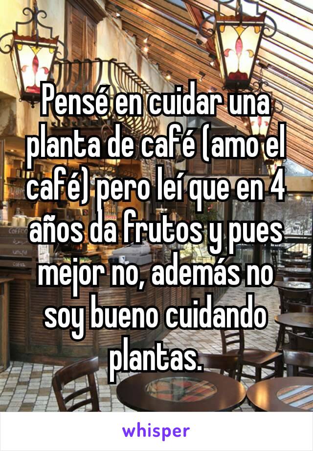 Pensé en cuidar una planta de café (amo el café) pero leí que en 4 años da frutos y pues mejor no, además no soy bueno cuidando plantas.