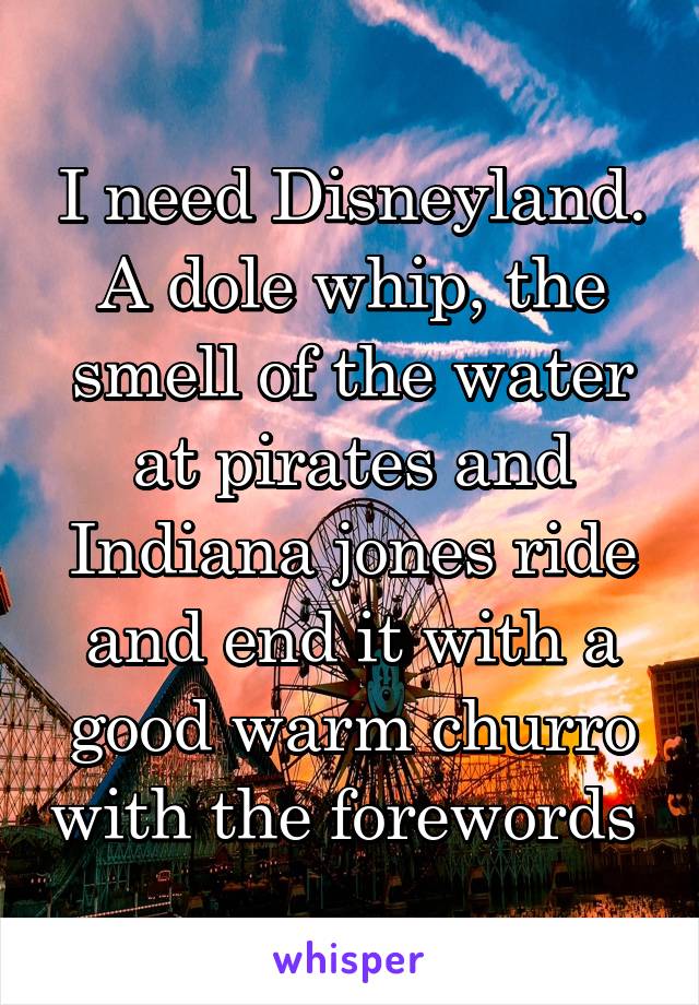 I need Disneyland. A dole whip, the smell of the water at pirates and Indiana jones ride and end it with a good warm churro with the forewords 