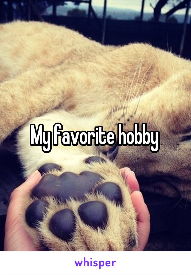 My favorite hobby 