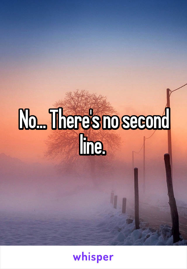 No... There's no second line. 