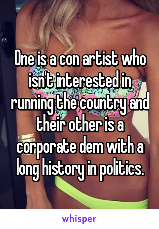 One is a con artist who isn't interested in running the country and their other is a corporate dem with a long history in politics.