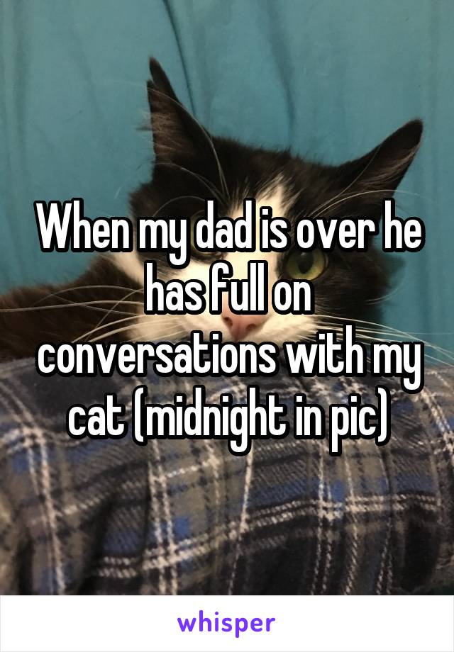When my dad is over he has full on conversations with my cat (midnight in pic)