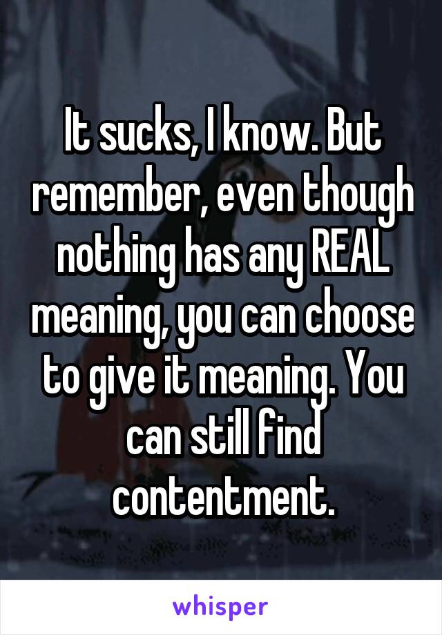 It sucks, I know. But remember, even though nothing has any REAL meaning, you can choose to give it meaning. You can still find contentment.