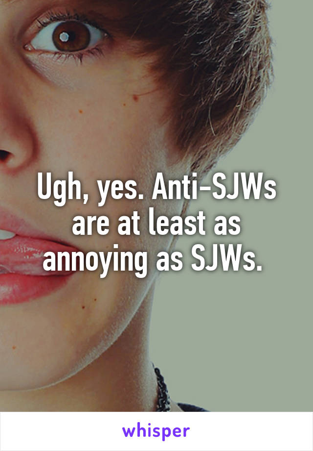 Ugh, yes. Anti-SJWs are at least as annoying as SJWs. 