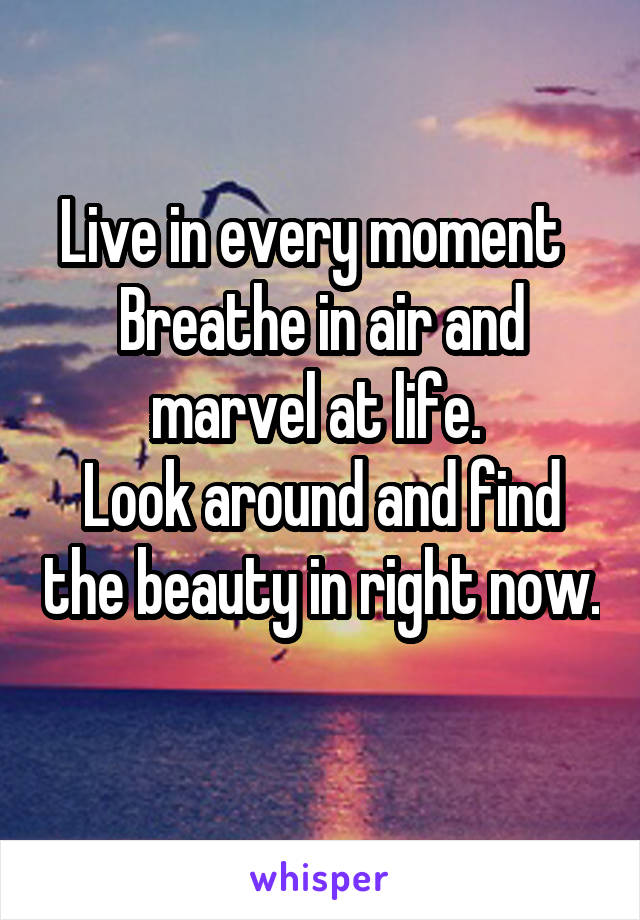 Live in every moment  
Breathe in air and marvel at life. 
Look around and find the beauty in right now.  