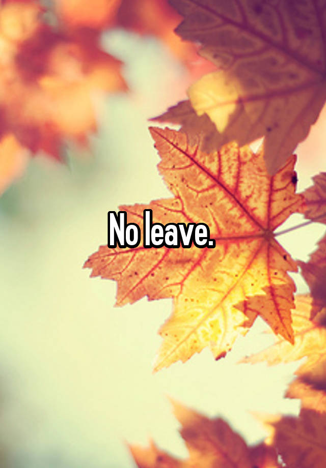 No Leave Availed Meaning