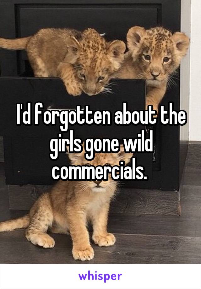 I'd forgotten about the girls gone wild commercials. 