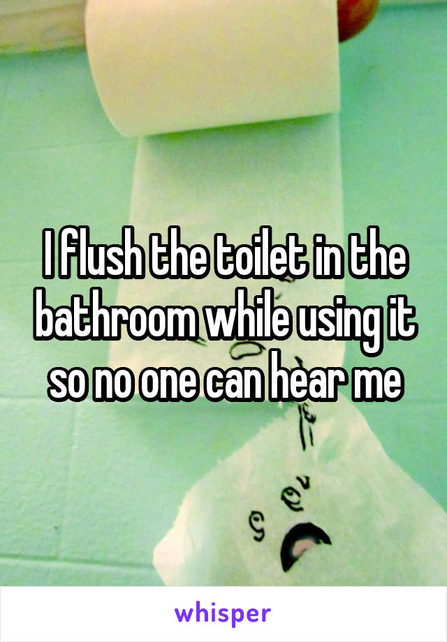 i-flush-the-toilet-in-the-bathroom-while-using-it-so-no-one-can-hear-me