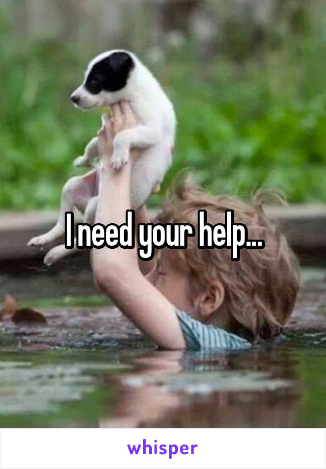 I need your help...