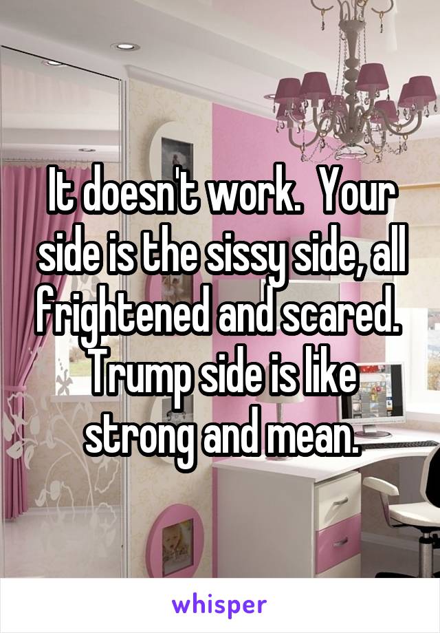 It doesn't work.  Your side is the sissy side, all frightened and scared.  Trump side is like strong and mean.