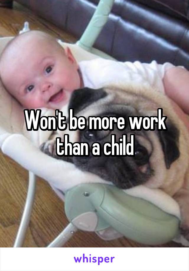 Won't be more work than a child