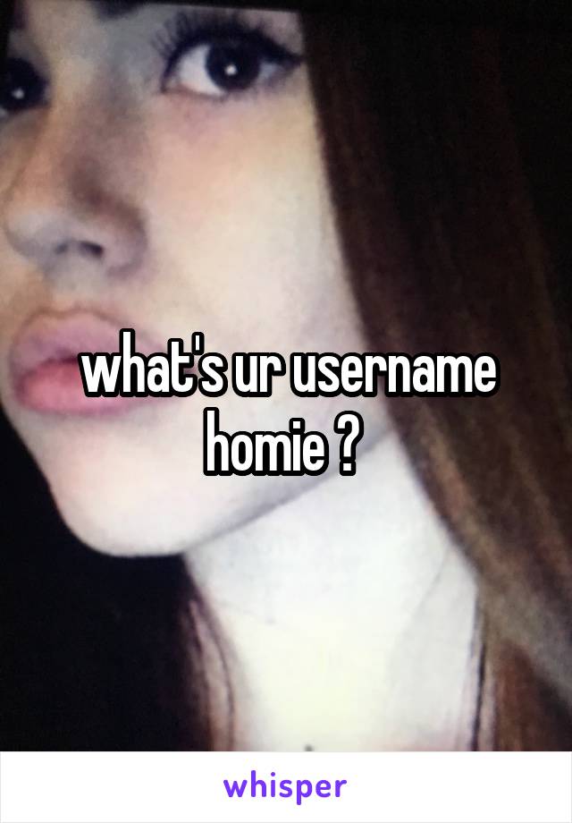 what's ur username homie ? 