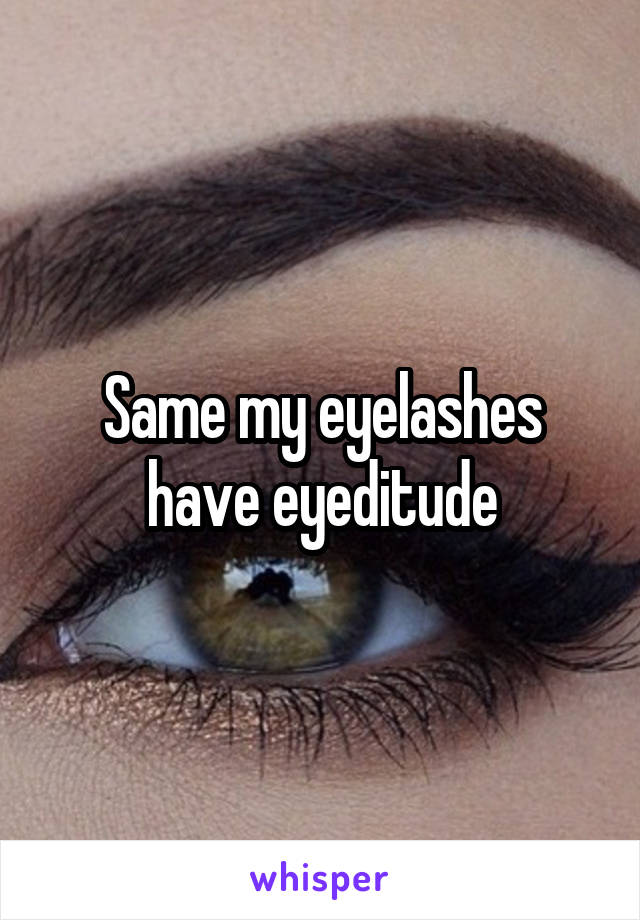 Same my eyelashes have eyeditude