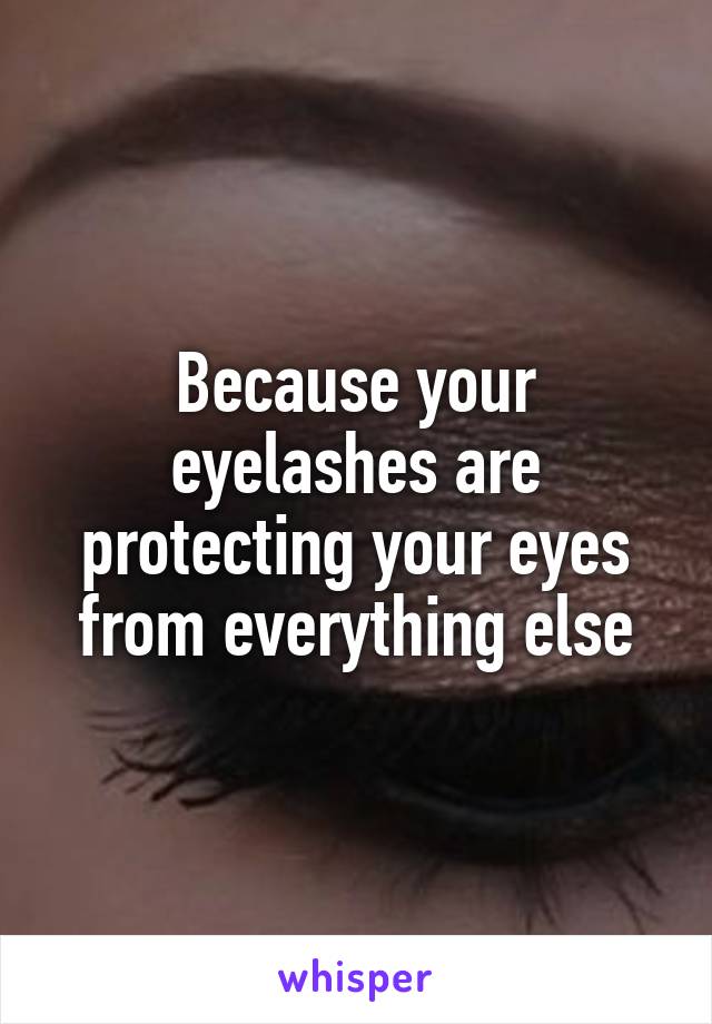 Because your eyelashes are protecting your eyes from everything else