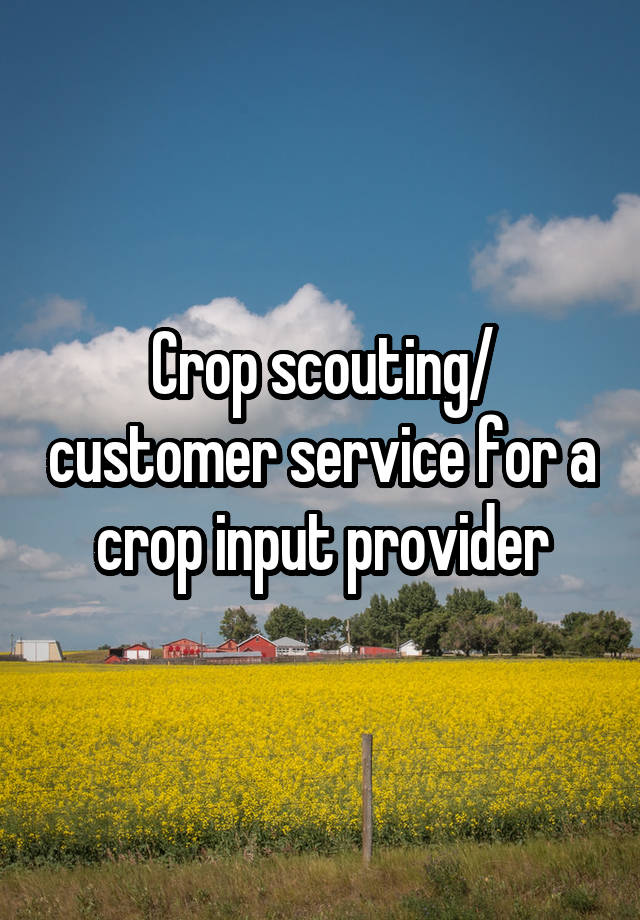 crop-scouting-customer-service-for-a-crop-input-provider