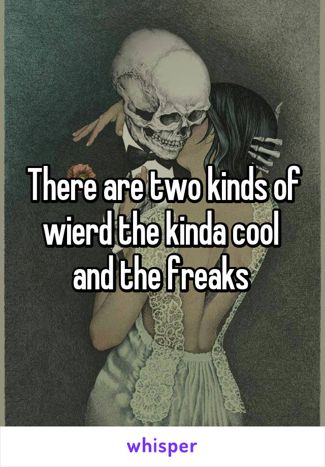 There are two kinds of wierd the kinda cool  and the freaks 