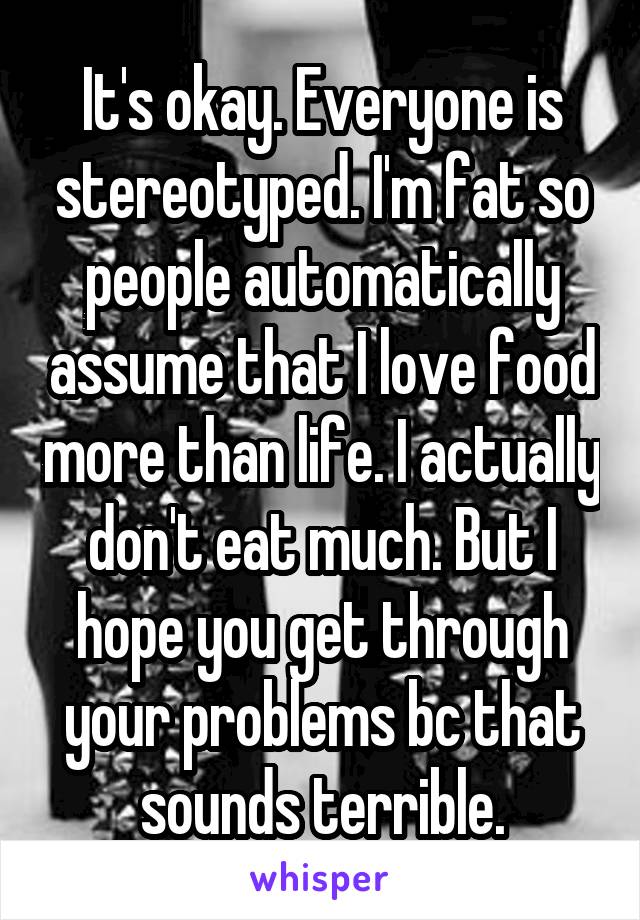 It's okay. Everyone is stereotyped. I'm fat so people automatically assume that I love food more than life. I actually don't eat much. But I hope you get through your problems bc that sounds terrible.