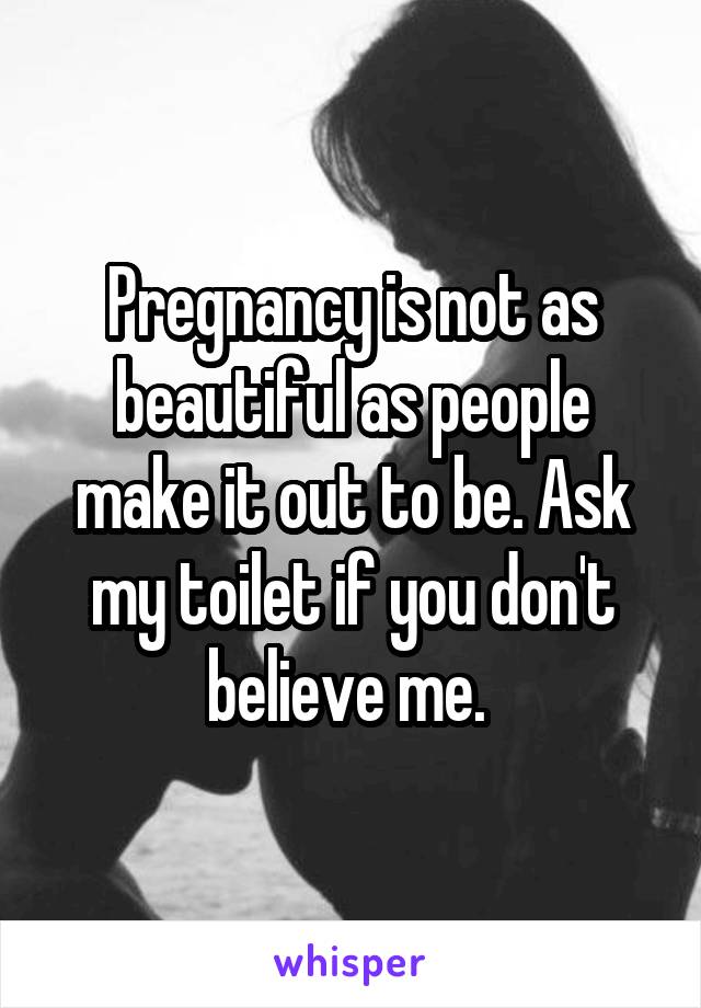 Pregnancy is not as beautiful as people make it out to be. Ask my toilet if you don't believe me. 