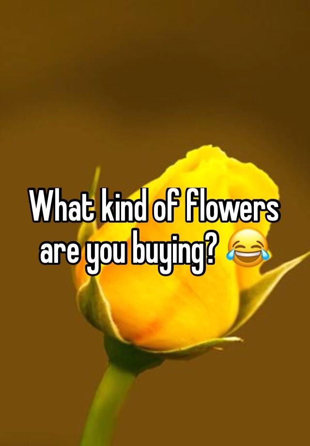 what-kind-of-flowers-are-you-buying