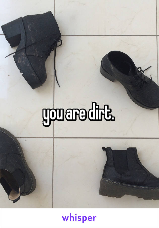 you are dirt. 