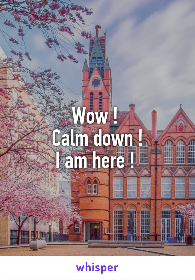 Wow ! 
Calm down !
I am here ! 