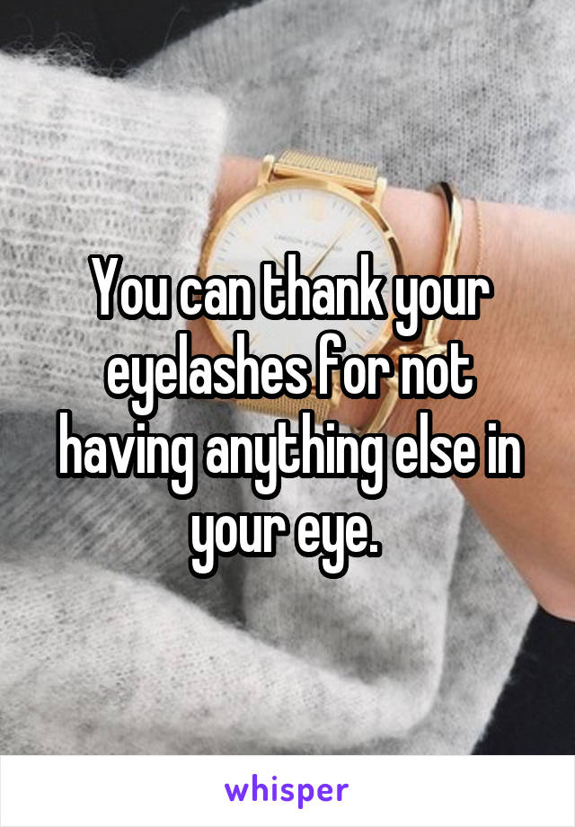 You can thank your eyelashes for not having anything else in your eye. 