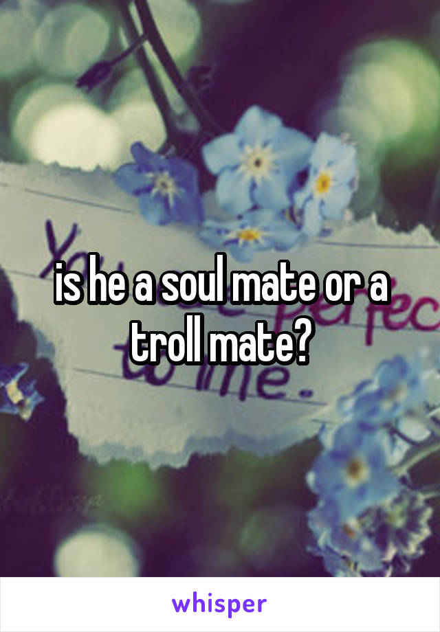 is he a soul mate or a troll mate?