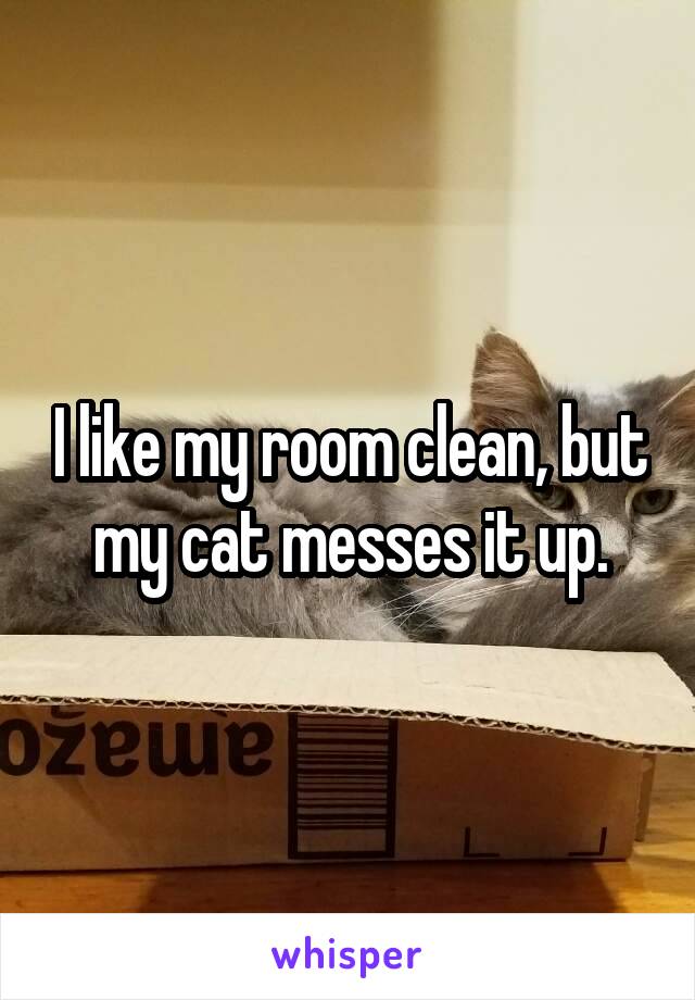 I like my room clean, but my cat messes it up.