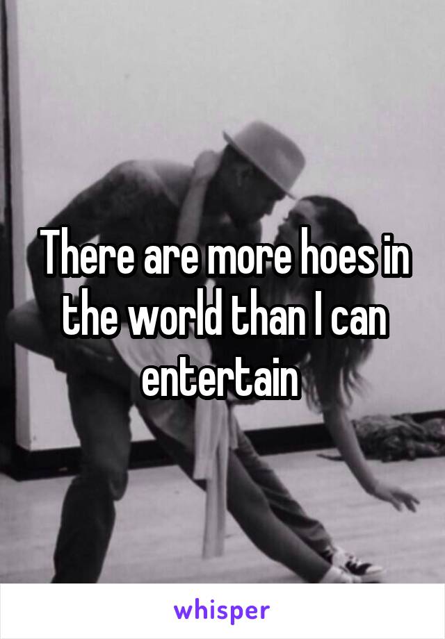 There are more hoes in the world than I can entertain 