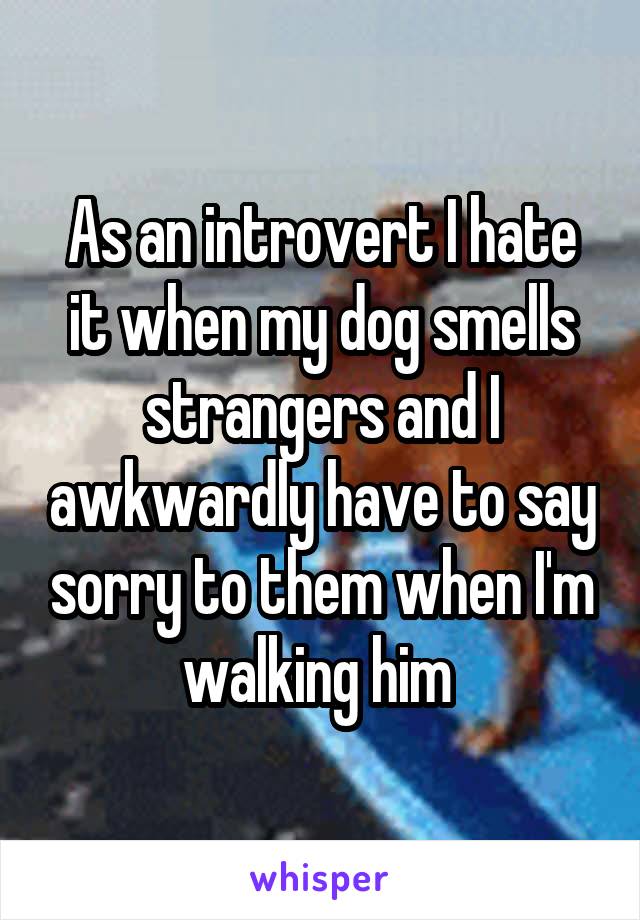 As an introvert I hate it when my dog smells strangers and I awkwardly have to say sorry to them when I'm walking him 