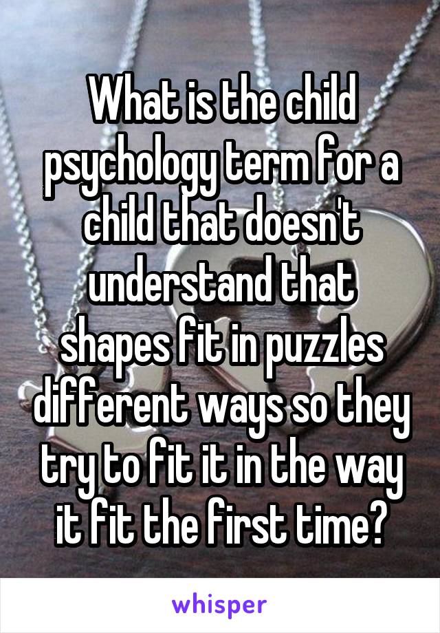 What is the child psychology term for a child that doesn't understand that shapes fit in puzzles different ways so they try to fit it in the way it fit the first time?