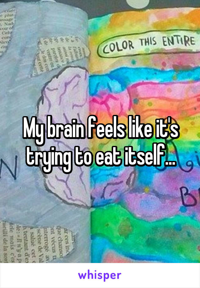 My brain feels like it's trying to eat itself...