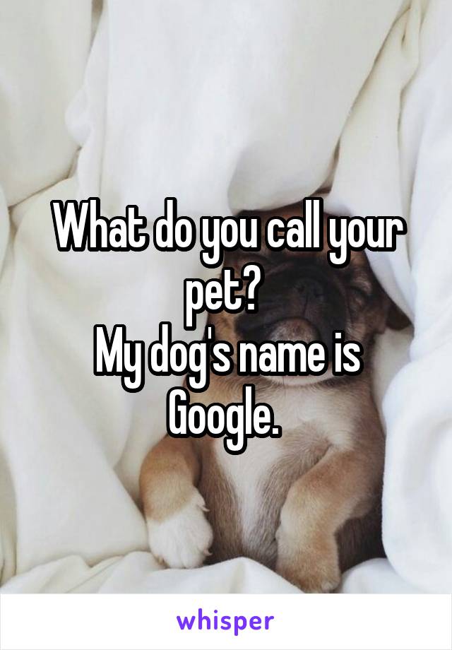 What do you call your pet? 
My dog's name is Google. 