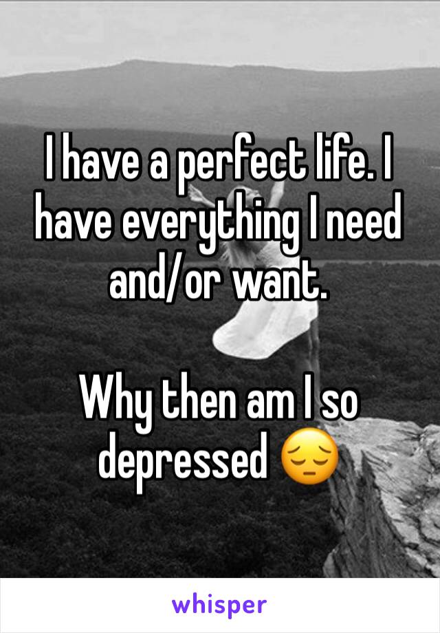 I have a perfect life. I have everything I need and/or want.

Why then am I so depressed 😔