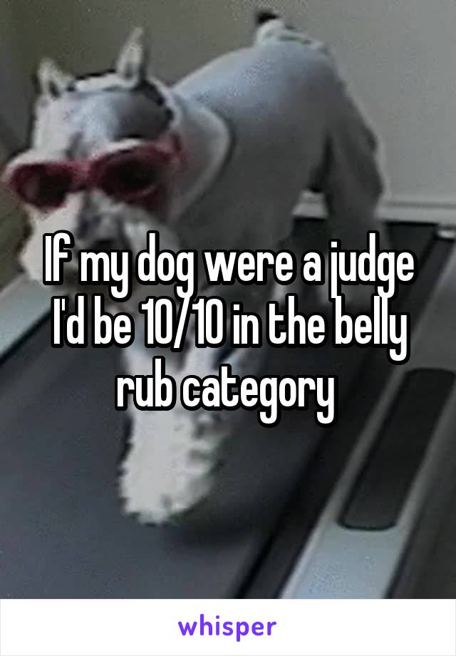 If my dog were a judge I'd be 10/10 in the belly rub category 