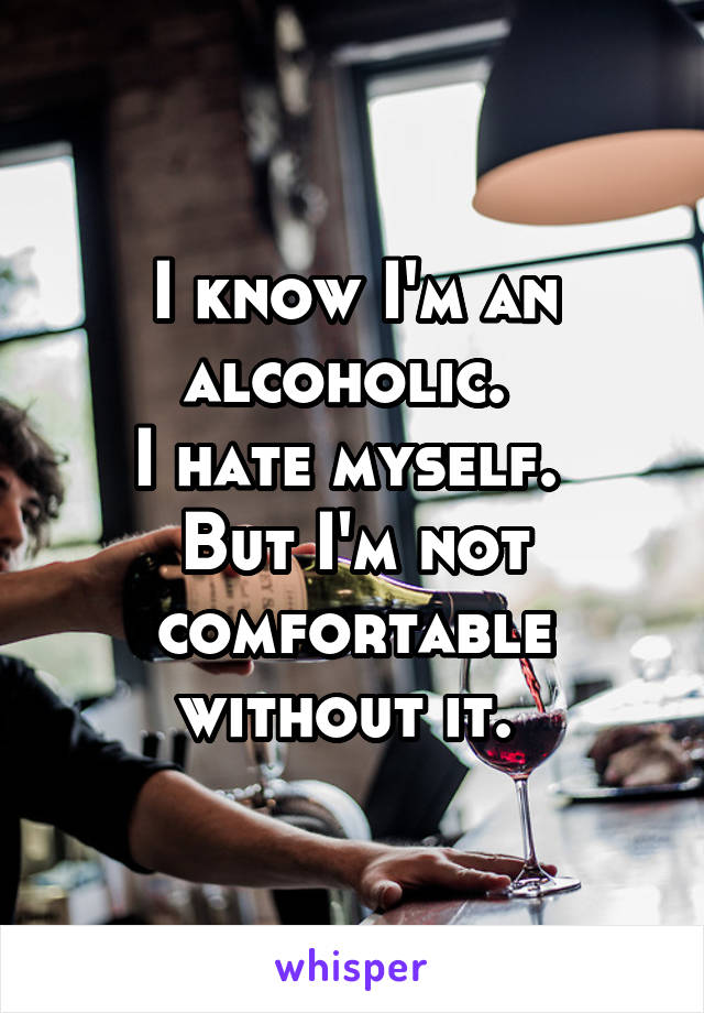 I know I'm an alcoholic. 
I hate myself. 
But I'm not comfortable without it. 