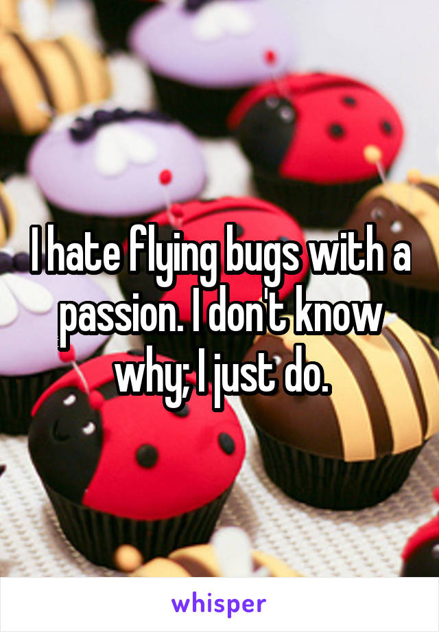I hate flying bugs with a passion. I don't know why; I just do.