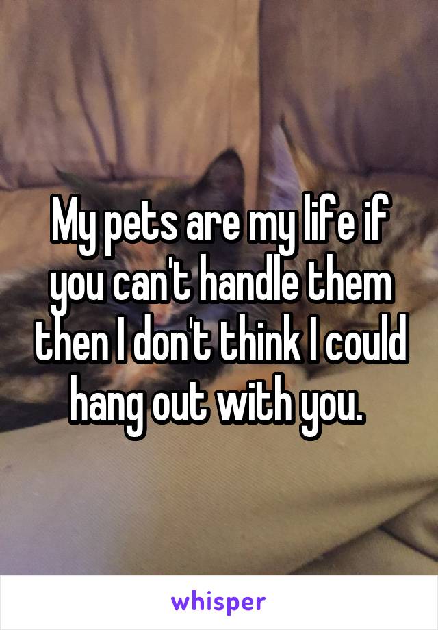 My pets are my life if you can't handle them then I don't think I could hang out with you. 